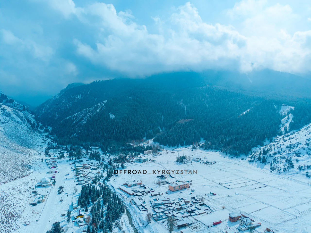 Wild mountain forest of Kyrgyzstan: exploring the untouched nature during our off-the-beaten-path expeditions.