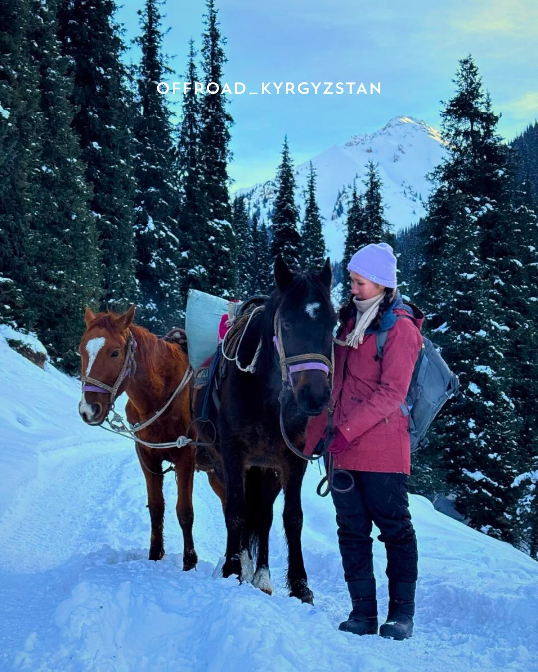 Winter horseback riding tour in the snowy forests of Kyrgyzstan: an American girl on a mountain trail adventure.